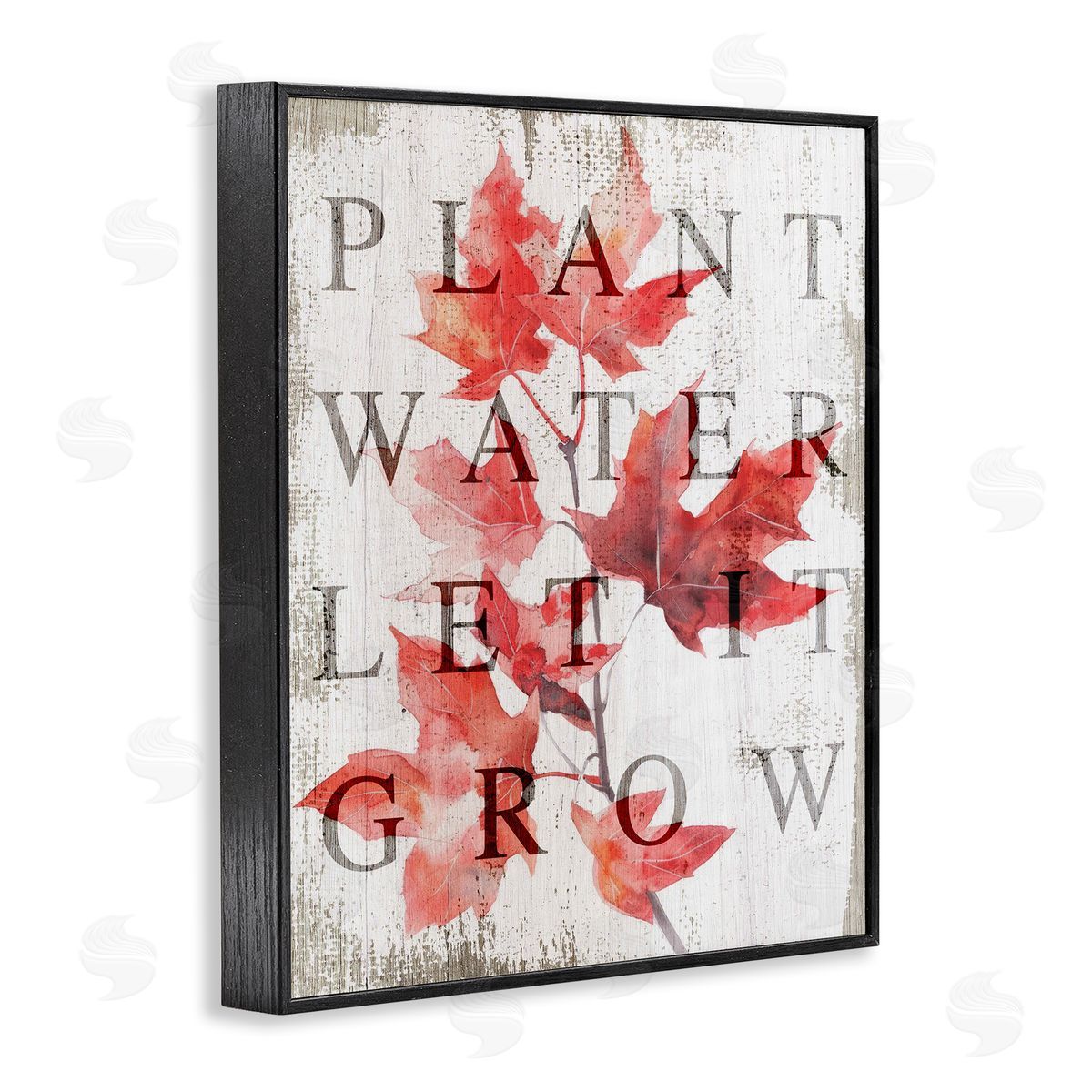 Lil' Rue Plant Water Let It Grow Canvas Wall Art Print