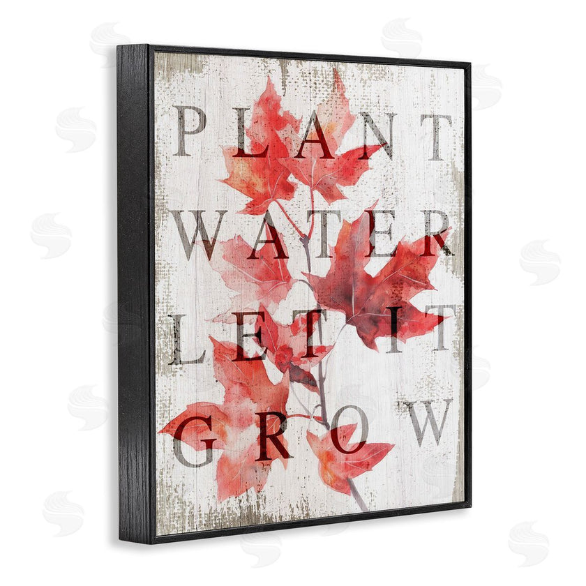 Lil' Rue | Plant Water Let It Grow