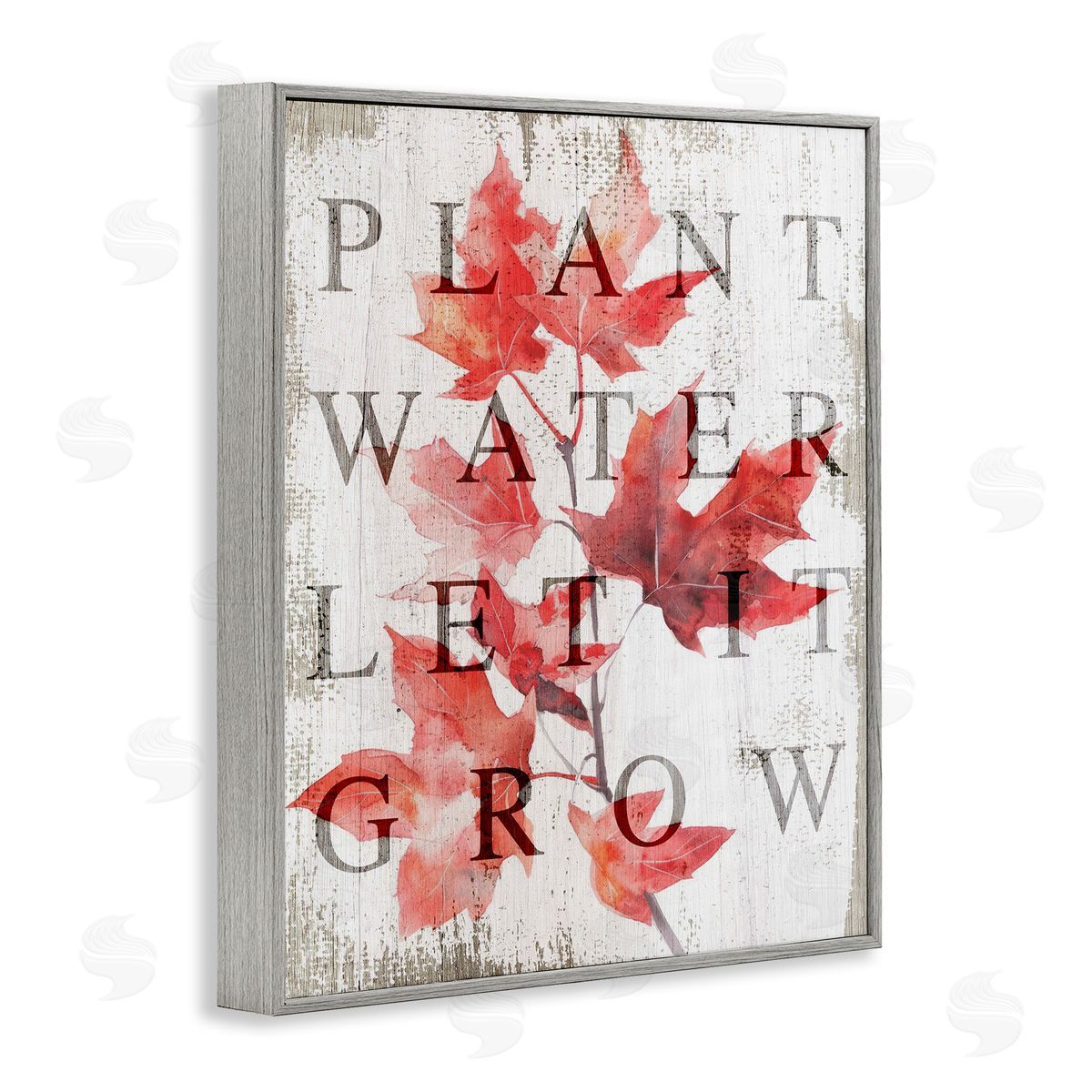 Lil' Rue Plant Water Let It Grow Canvas Wall Art Print