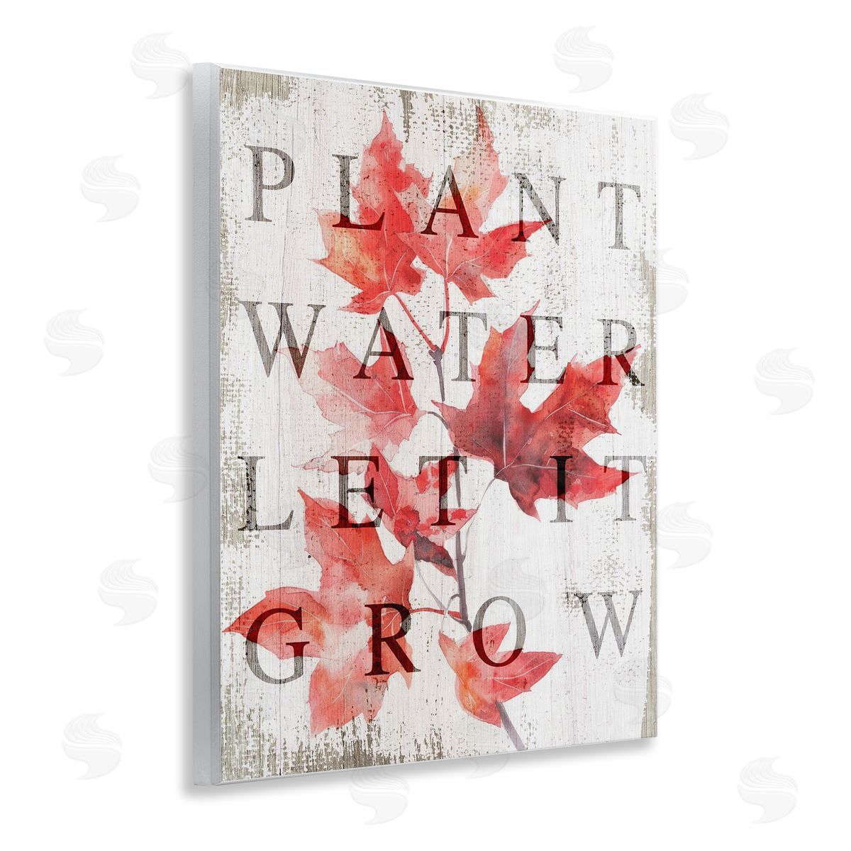 Lil' Rue Plant Water Let It Grow Canvas Wall Art Print