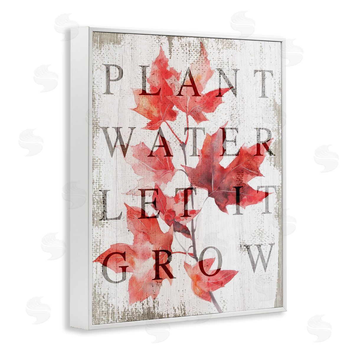 Lil' Rue Plant Water Let It Grow Canvas Wall Art Print
