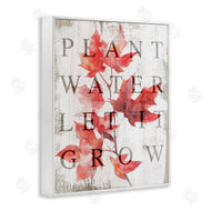 Lil' Rue | Plant Water Let It Grow