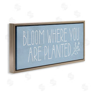 Lil' Rue | Bloom Where You Are Planted