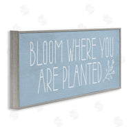 Lil' Rue | Bloom Where You Are Planted