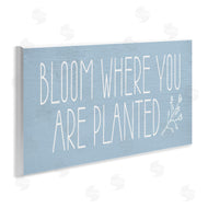 Lil' Rue | Bloom Where You Are Planted