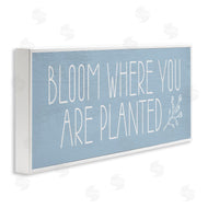 Lil' Rue | Bloom Where You Are Planted