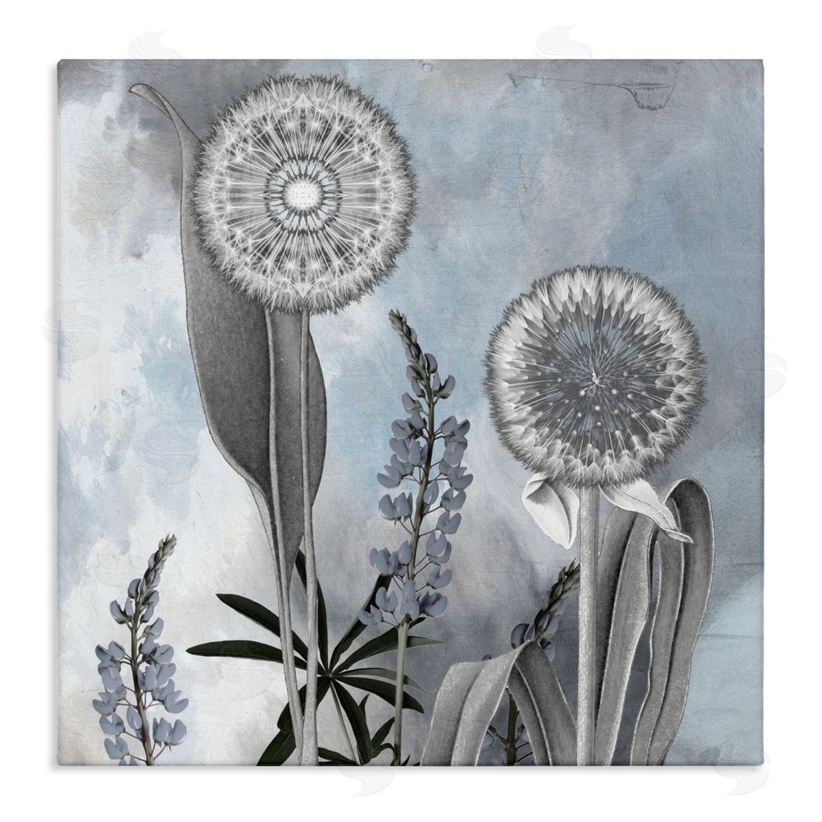 Sophie 6 Grey Toned Dandelion Sky Canvas Wall Art Print