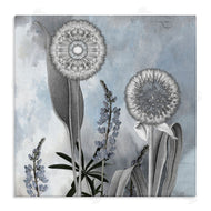 Sophie 6 | Grey Toned Dandelion Sky