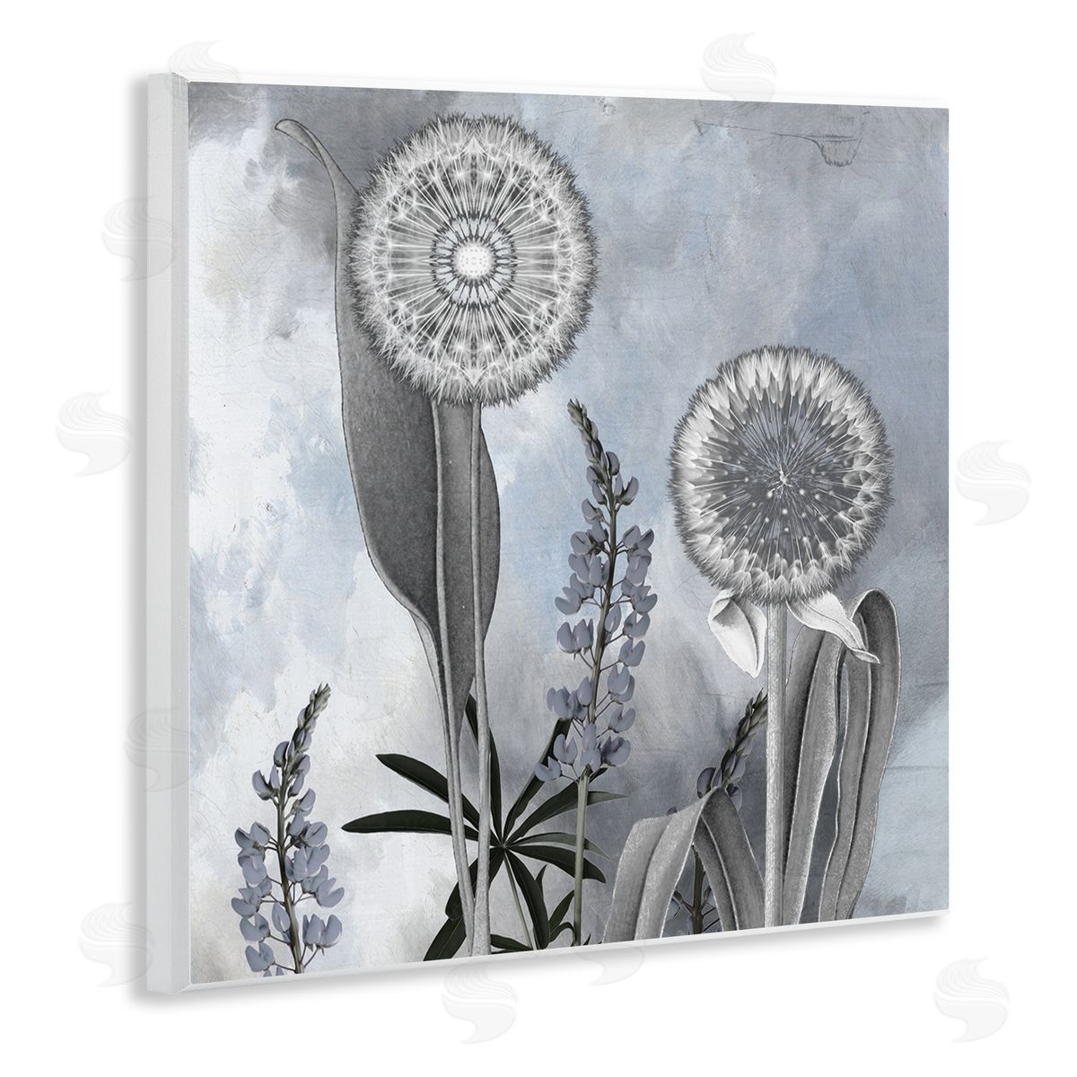 Sophie 6 Grey Toned Dandelion Sky Canvas Wall Art Print