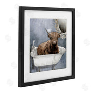 Sophie 6 | Le Bain Bleu Cattle