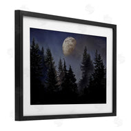 Sophie 6 | Love And The Moon