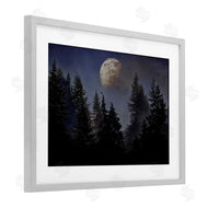 Sophie 6 | Love And The Moon