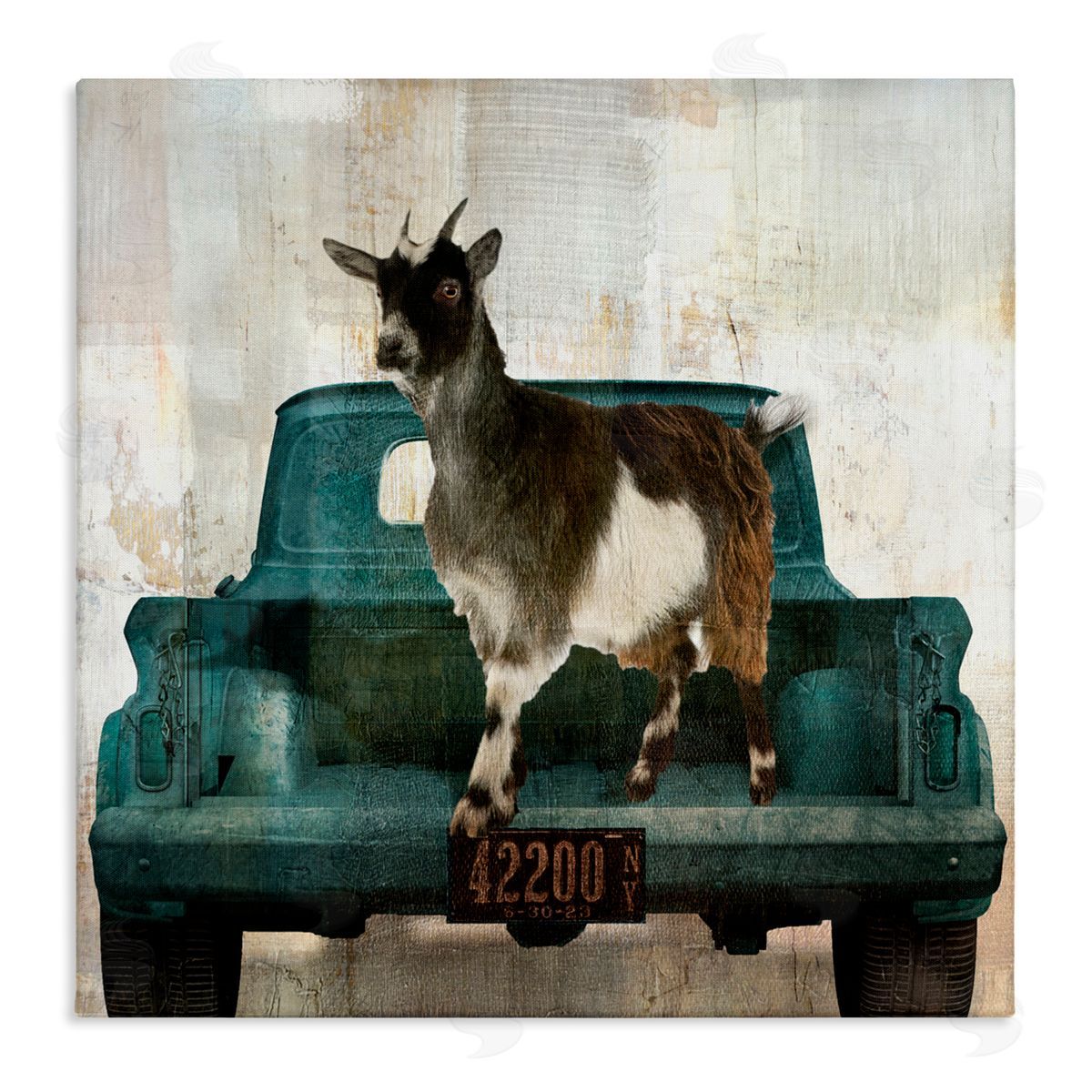 Sophie 6 Rustic Goat Vacation Canvas Wall Art Print