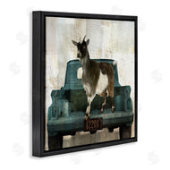 Sophie 6 | Rustic Goat Vacation