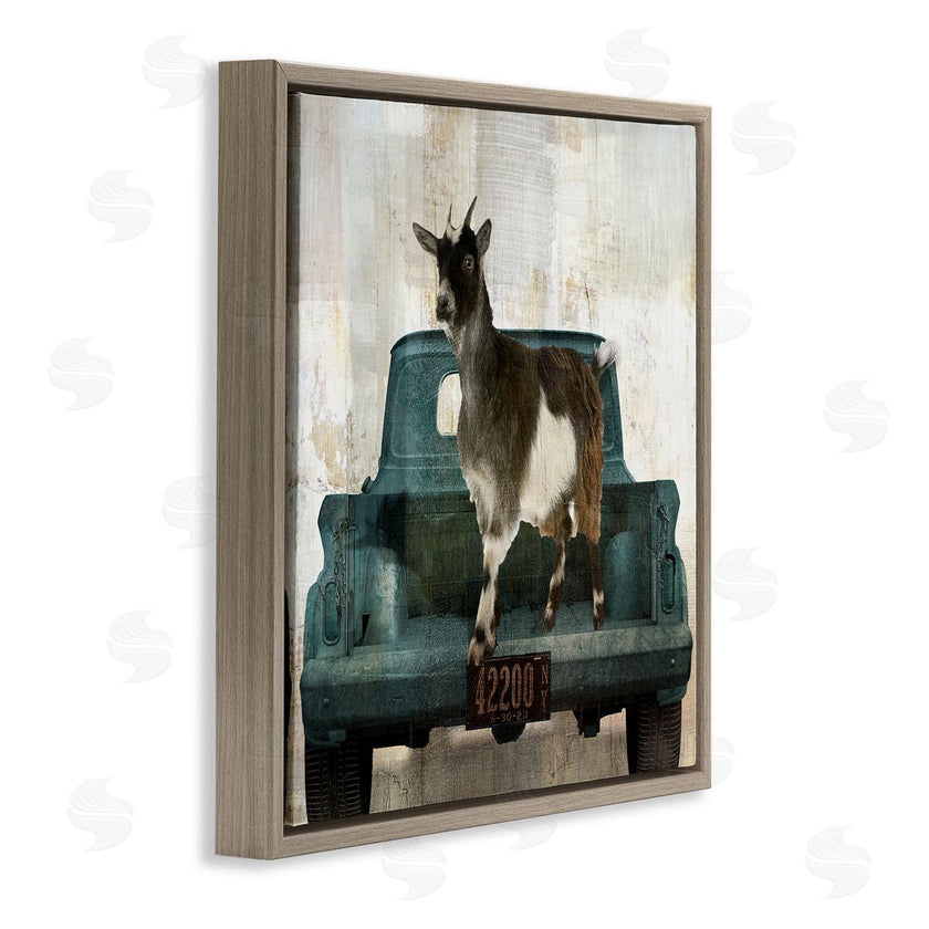 Sophie 6 | Rustic Goat Vacation