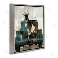 Sophie 6 | Rustic Goat Vacation