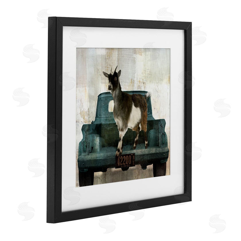 Sophie 6 | Rustic Goat Vacation
