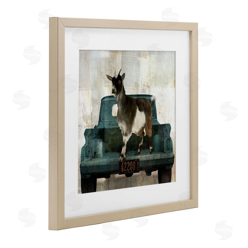 Sophie 6 | Rustic Goat Vacation