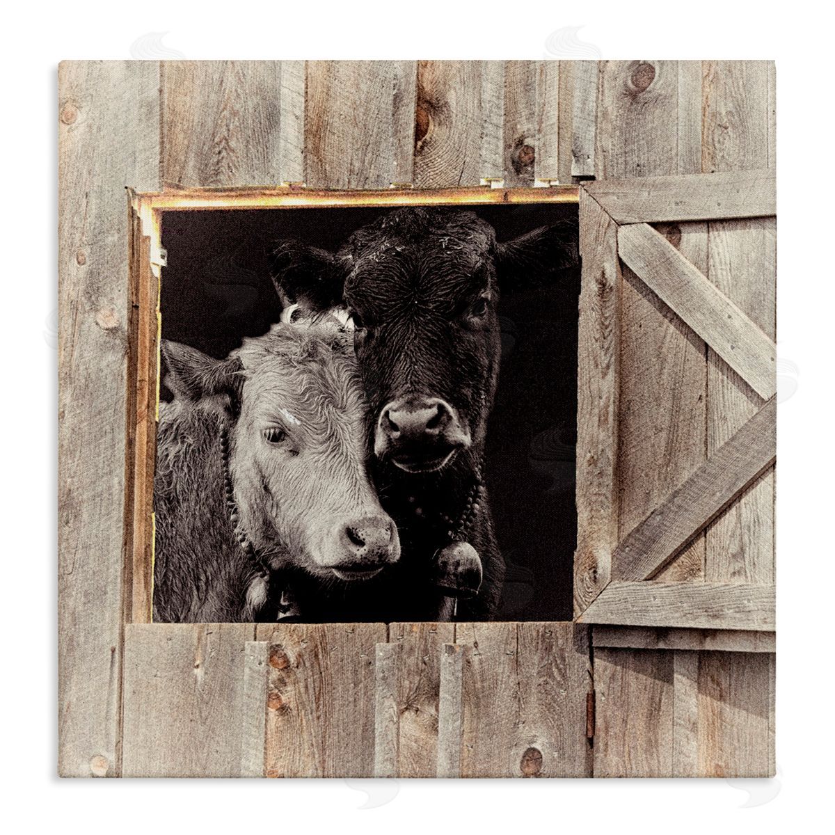 Sophie 6 Best Friends Barn Cows Canvas Wall Art Print