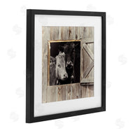 Sophie 6 | Best Friends Barn Cows