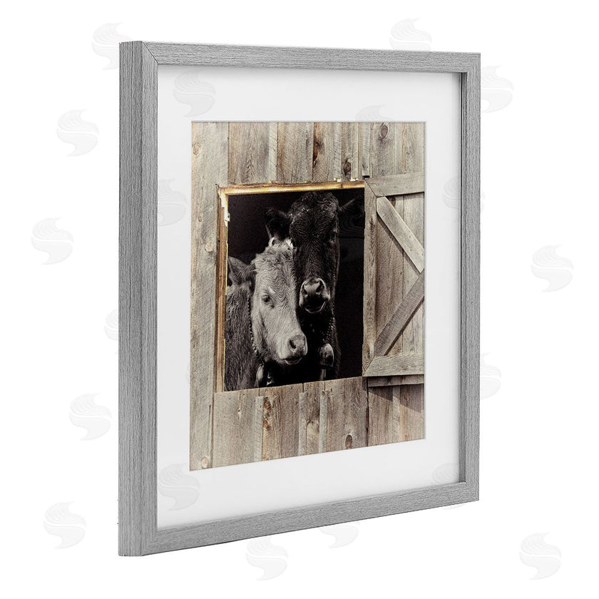 Sophie 6 | Best Friends Barn Cows