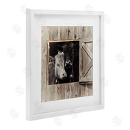 Sophie 6 | Best Friends Barn Cows
