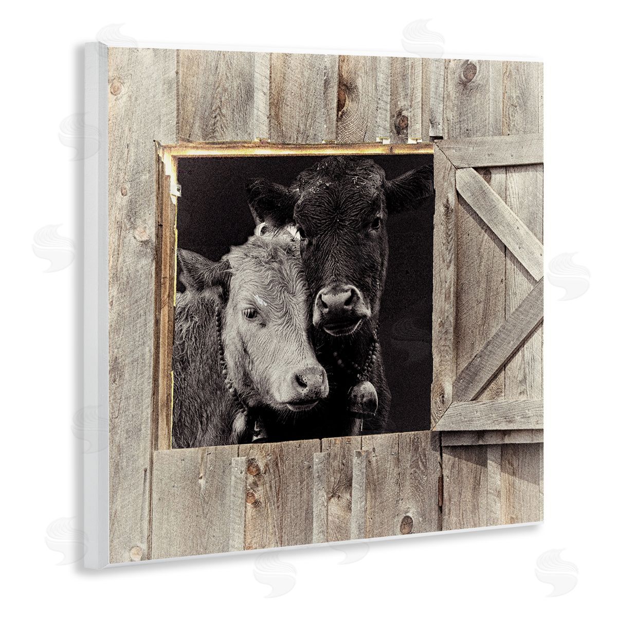 Sophie 6 Best Friends Barn Cows Canvas Wall Art Print