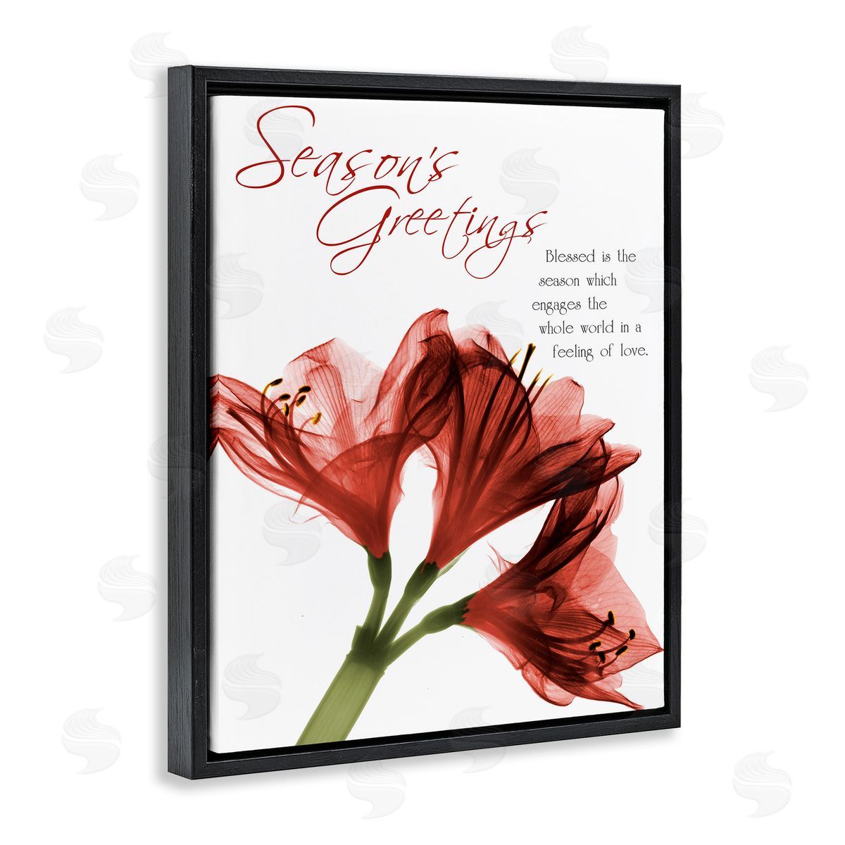Albert Koetsier Season's Greetings Holiday Amaryllis Canvas Wall Art Print