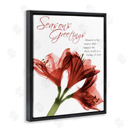 Albert Koetsier | Season's Greetings Holiday Amaryllis
