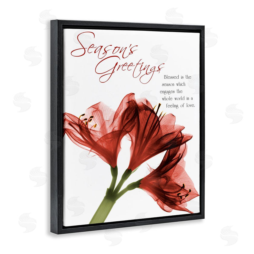 Albert Koetsier | Season's Greetings Holiday Amaryllis