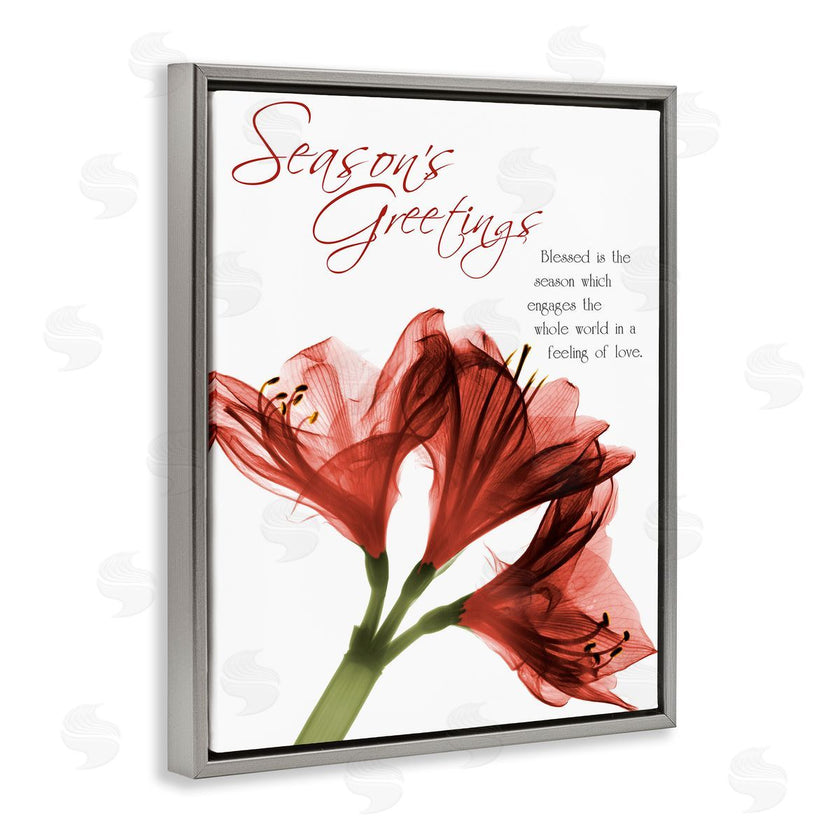 Albert Koetsier | Season's Greetings Holiday Amaryllis