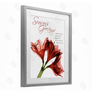 Albert Koetsier | Season's Greetings Holiday Amaryllis