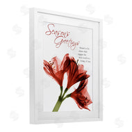 Albert Koetsier | Season's Greetings Holiday Amaryllis