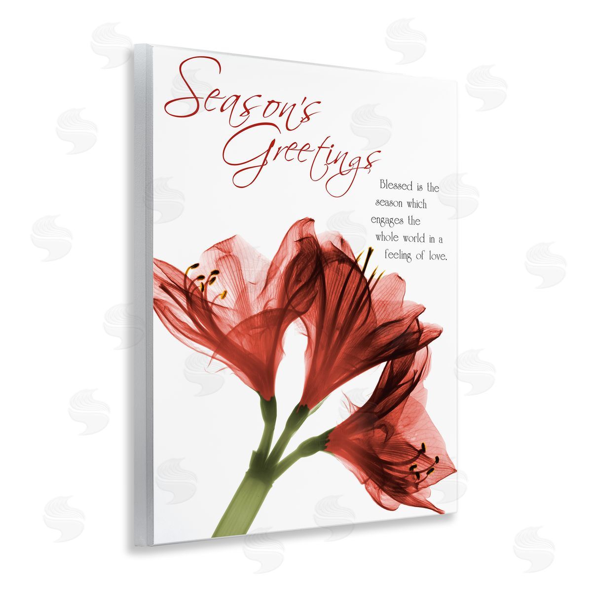 Albert Koetsier Season's Greetings Holiday Amaryllis Canvas Wall Art Print