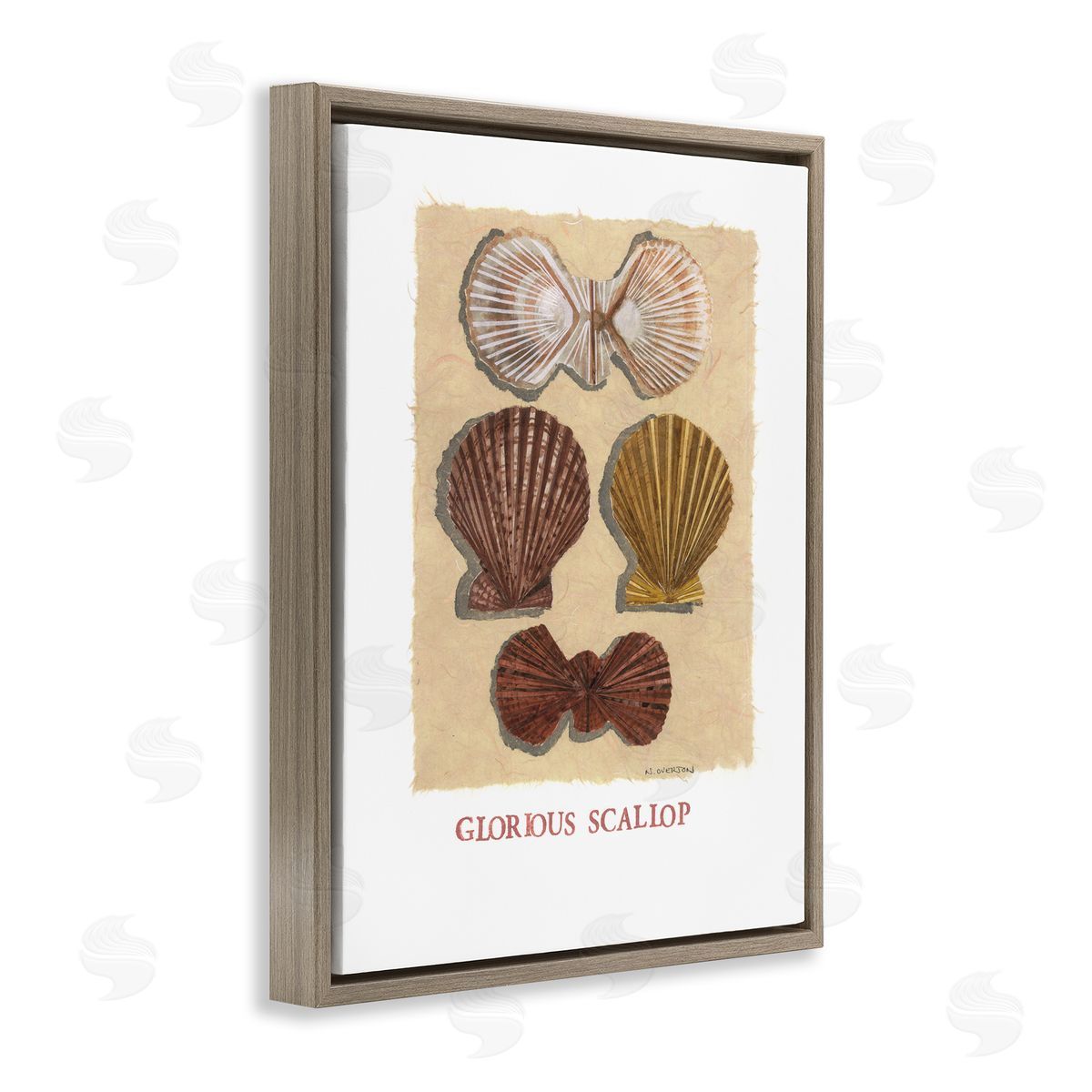 Nancy Overton Glorious Scallop Shells Canvas Wall Art Print