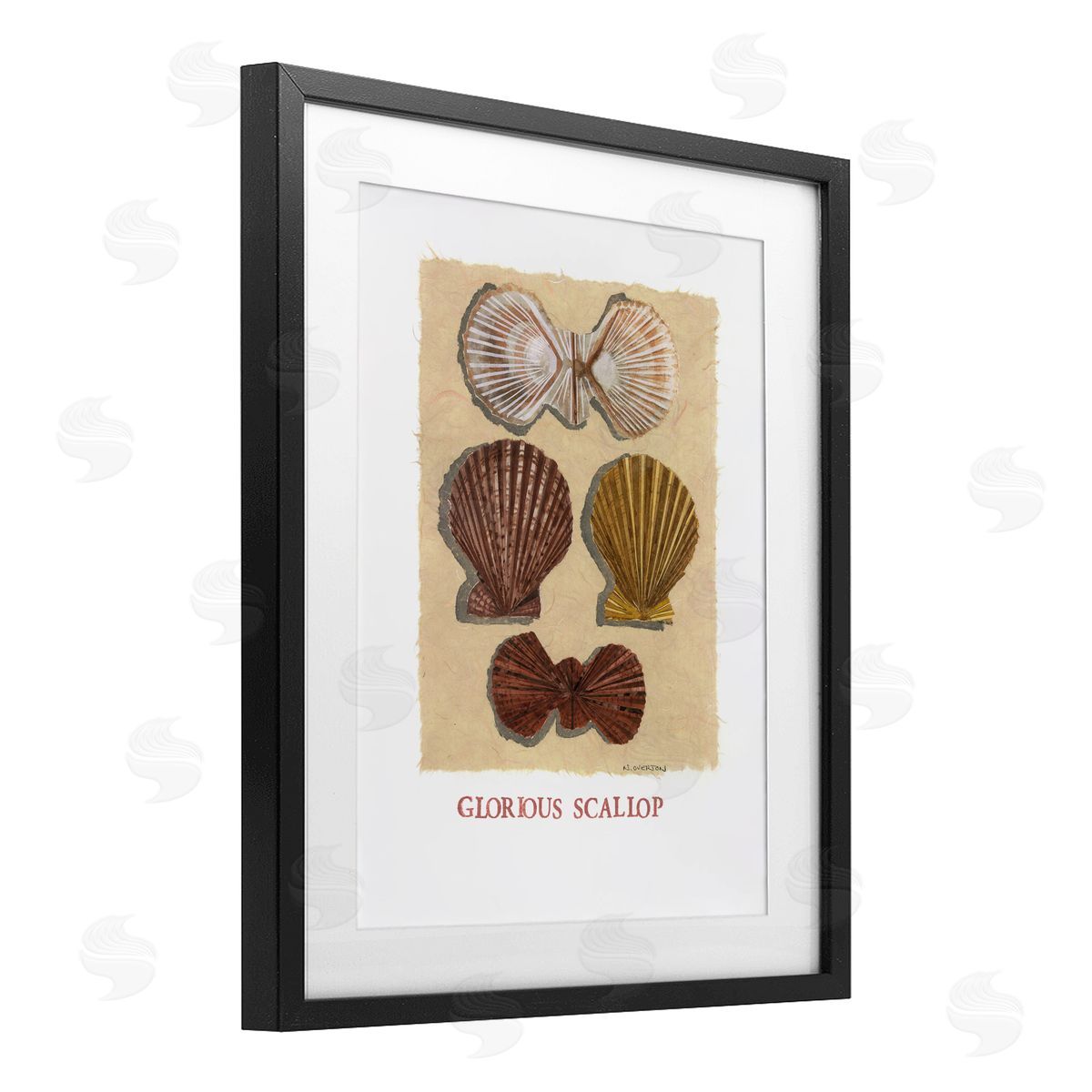Nancy Overton Glorious Scallop Shells Canvas Wall Art Print