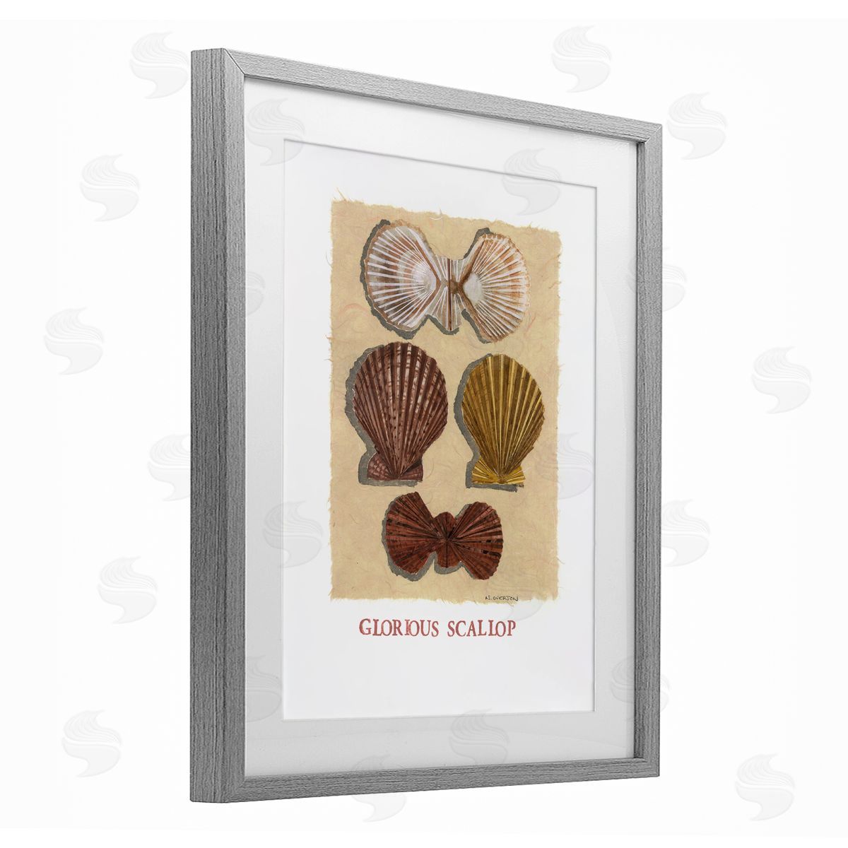 Nancy Overton Glorious Scallop Shells Canvas Wall Art Print