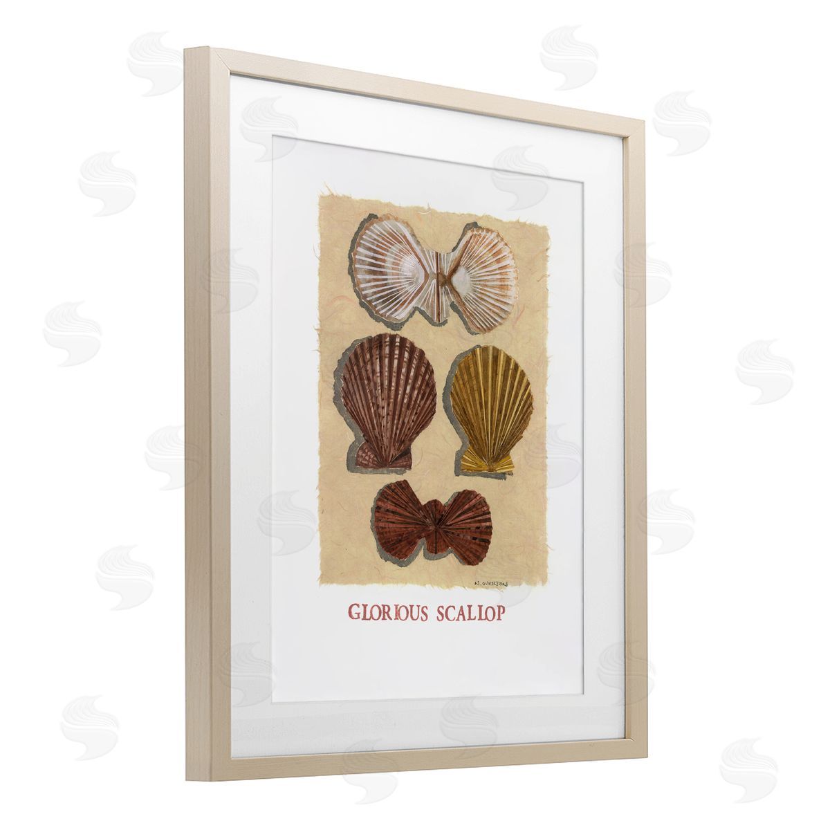 Nancy Overton Glorious Scallop Shells Canvas Wall Art Print