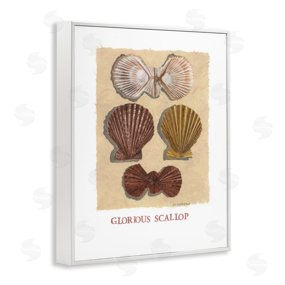 Nancy Overton Glorious Scallop Shells Canvas Wall Art Print