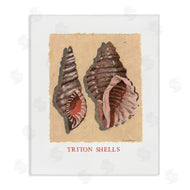 Nancy Overton | Triton Shell Pair