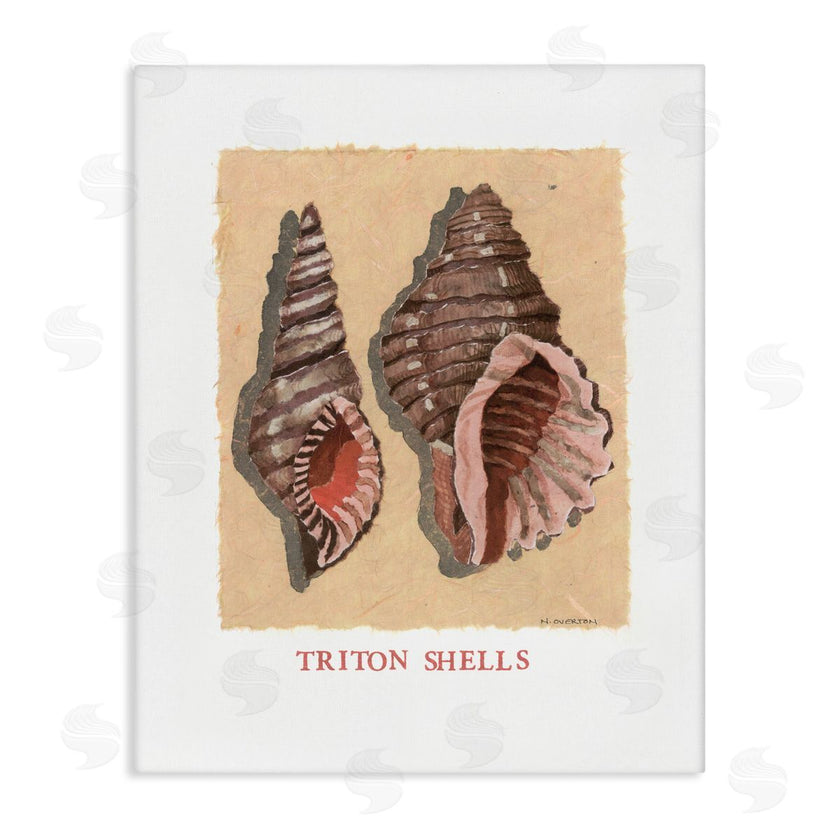 Nancy Overton | Triton Shell Pair