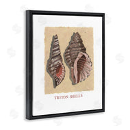 Nancy Overton | Triton Shell Pair