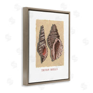 Nancy Overton | Triton Shell Pair