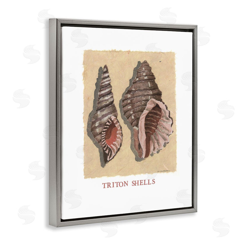Nancy Overton | Triton Shell Pair