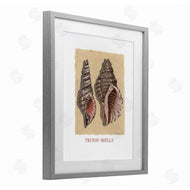 Nancy Overton | Triton Shell Pair