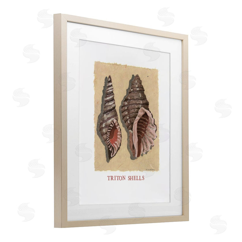 Nancy Overton | Triton Shell Pair