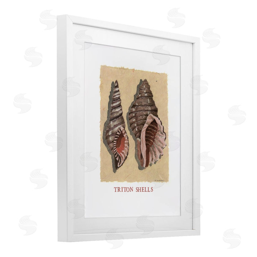 Nancy Overton | Triton Shell Pair