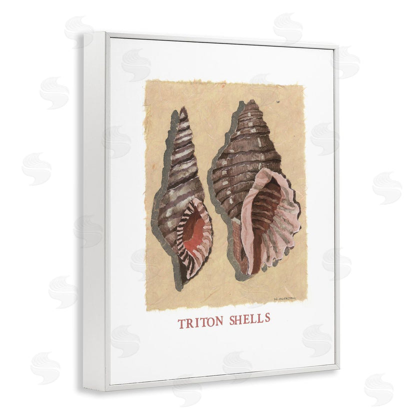 Nancy Overton | Triton Shell Pair