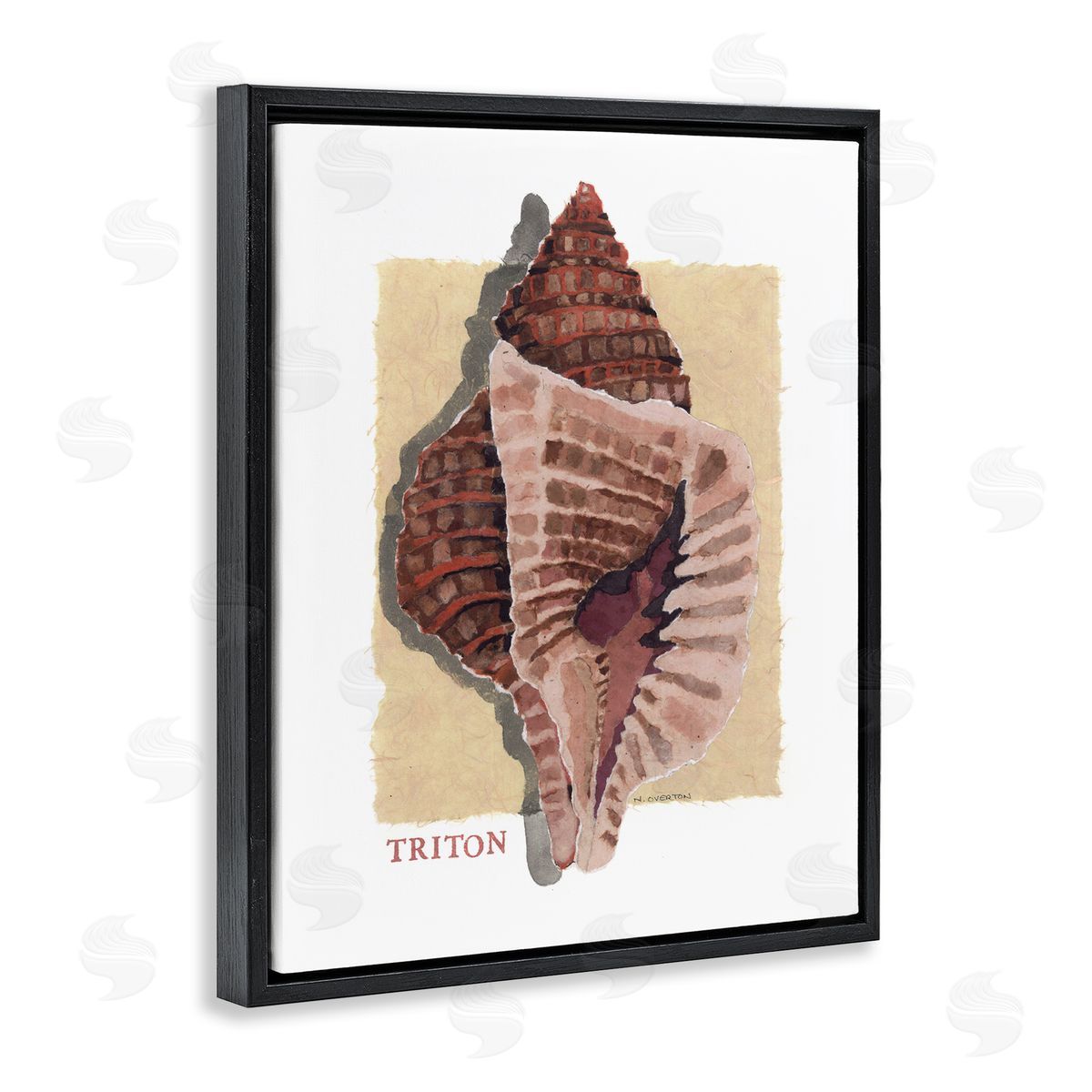 Nancy Overton Nautical Triton Shell Canvas Wall Art Print