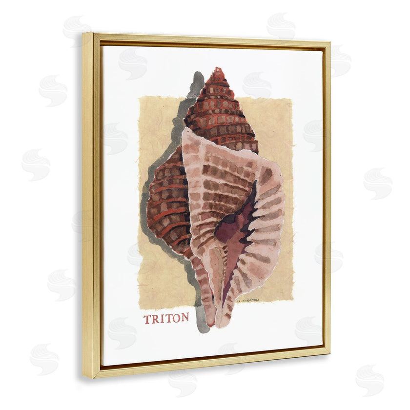 Nancy Overton | Nautical Triton Shell